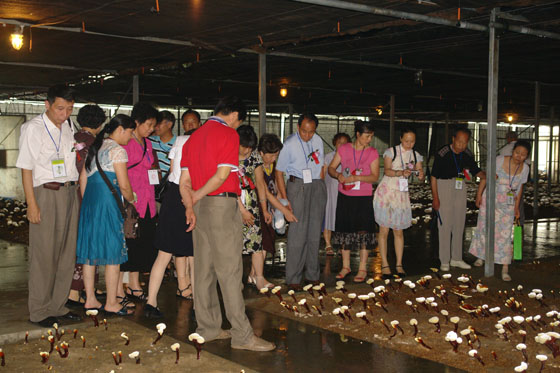 千亿球友会 千亿球友会